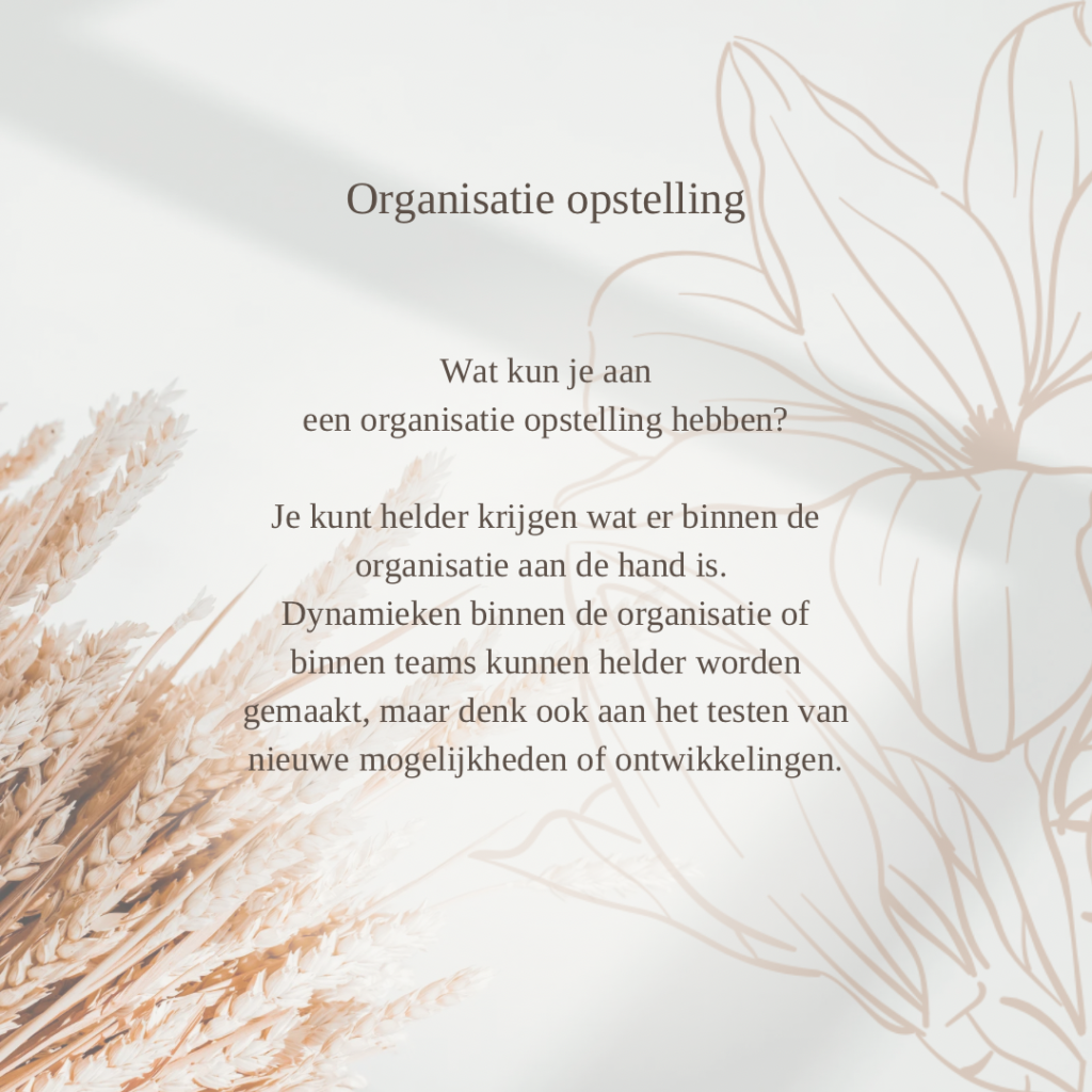 Organisatie opstelling